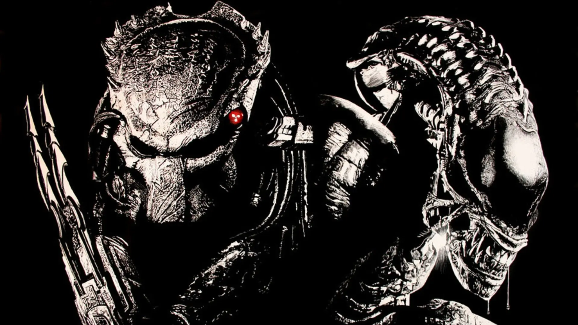 Movie Alien vs Predator wallpaper 2 | Background Image