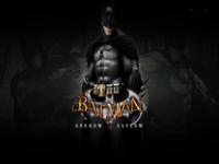 Batman Arkham Asylum wallpaper 10