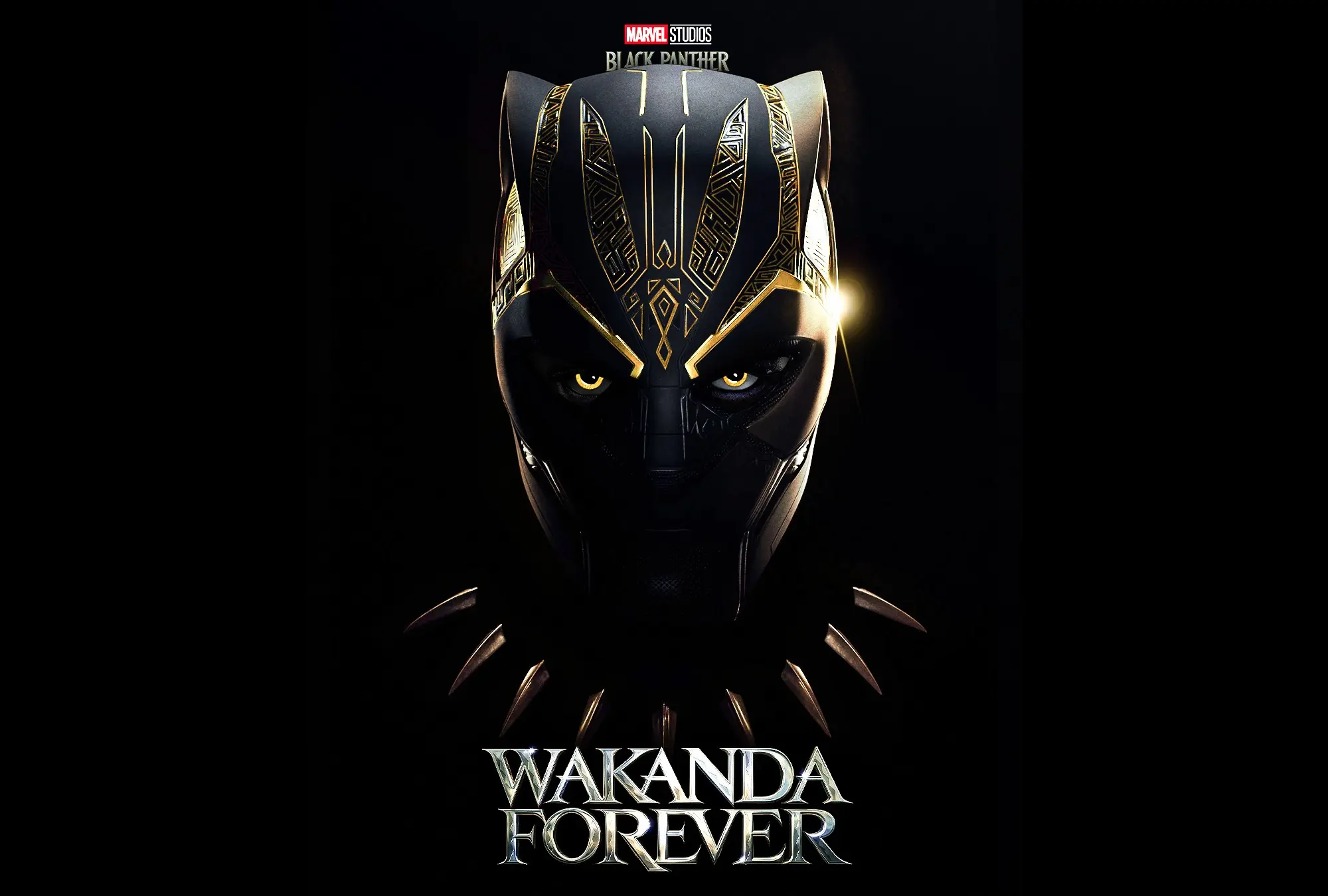 Movie Black Panther Wakanda Forever wallpaper 12 | Background Image