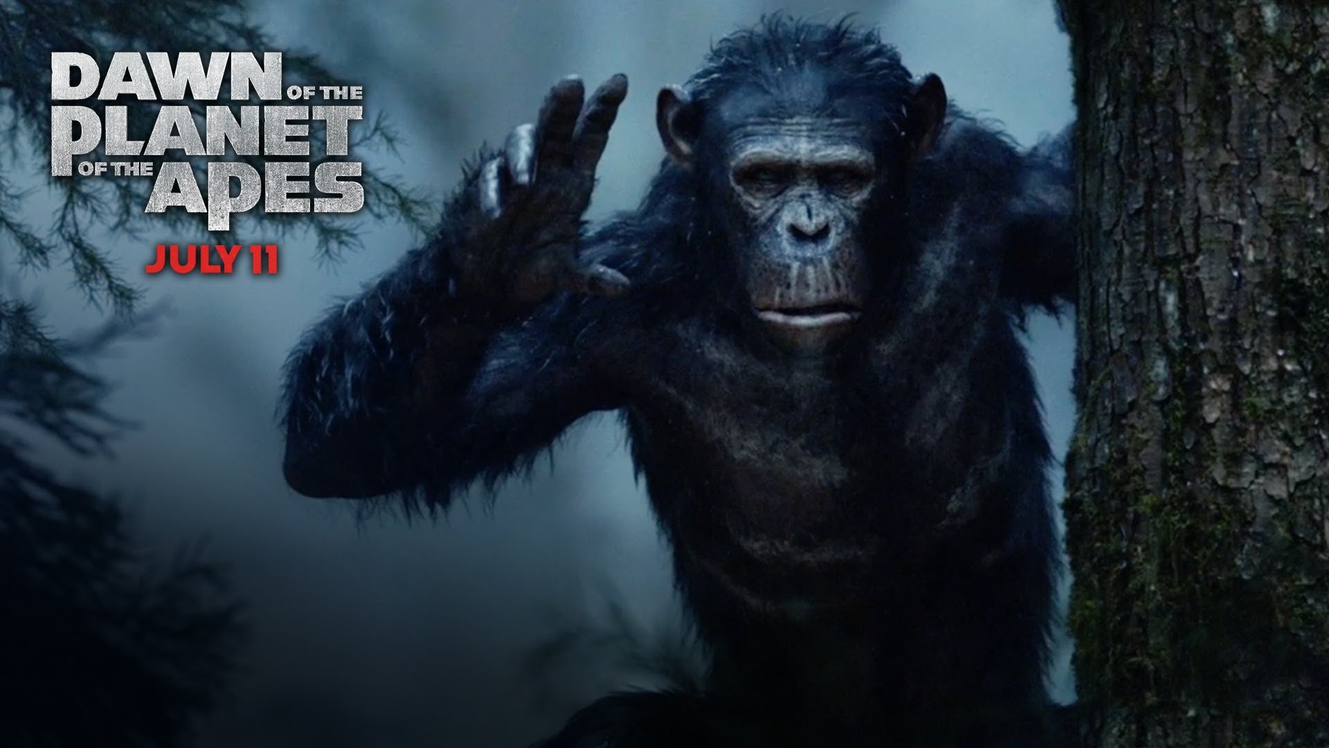 Dawn Of The Planet Of The Apes Wallpaper 5 Wallpapersbq