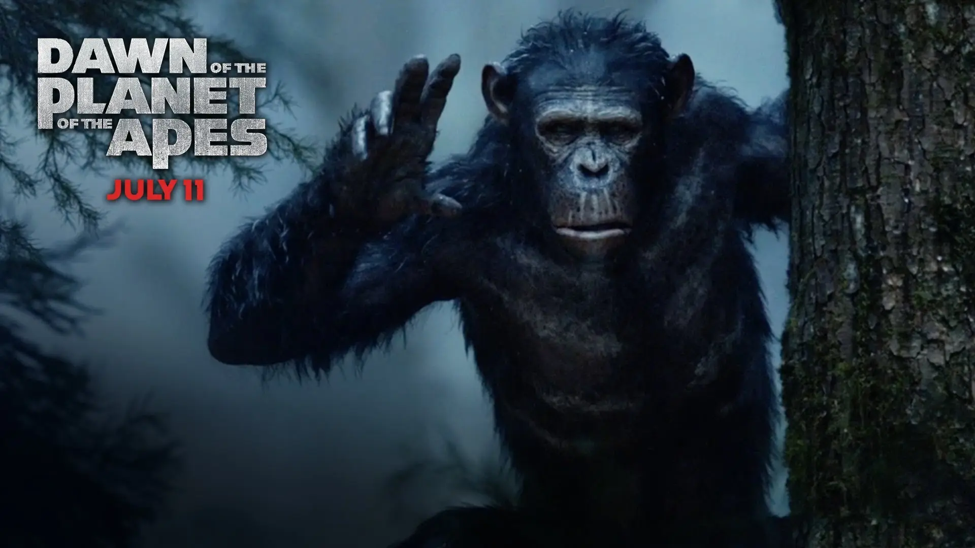 Wallpaper hd: Dawn of the Planet of the Apes - download free in 4K,  wallpaper Movie