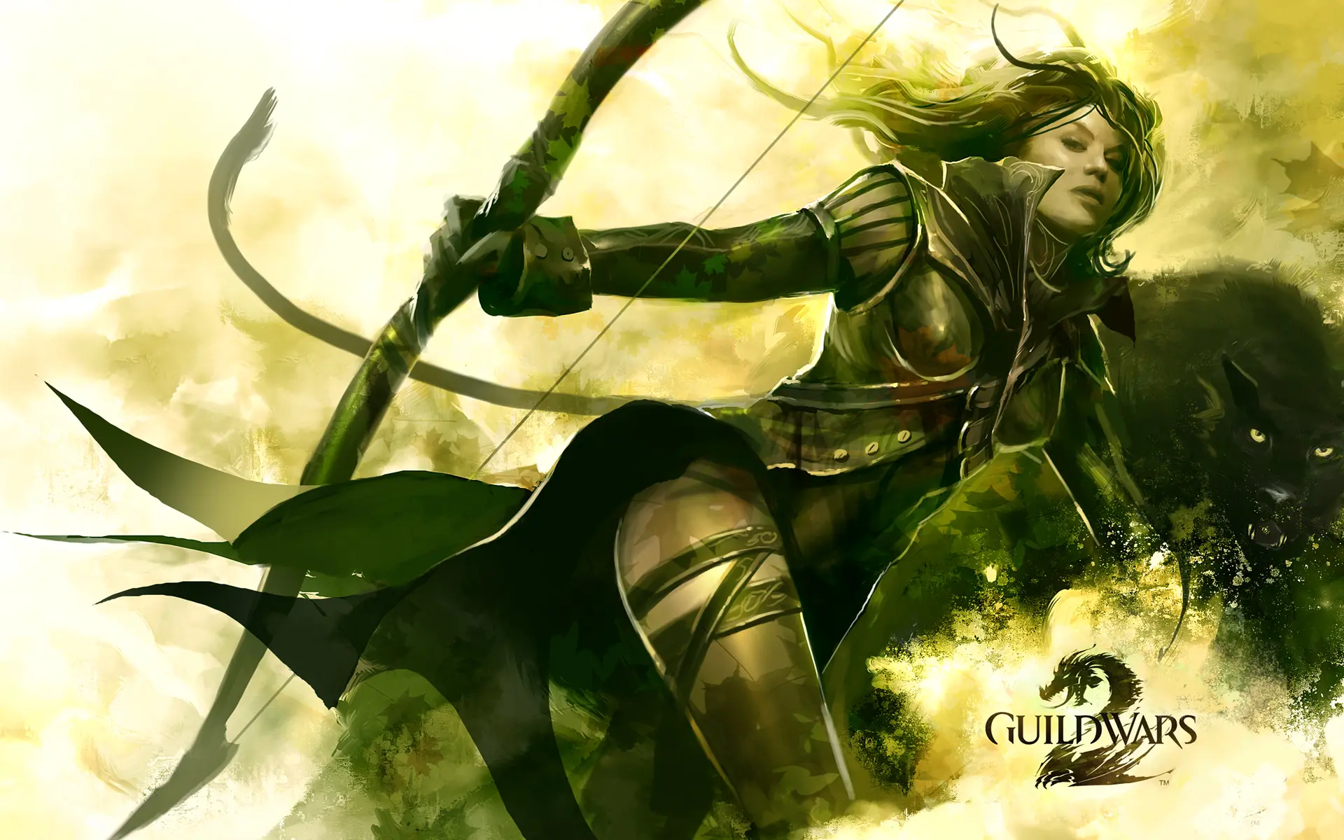 Game Guild Wars 2 wallpaper 9 | Background Image