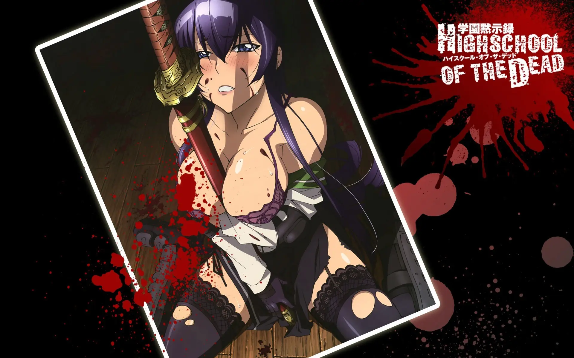 Anime High School of the Dead wallpaper 6 | Background Image