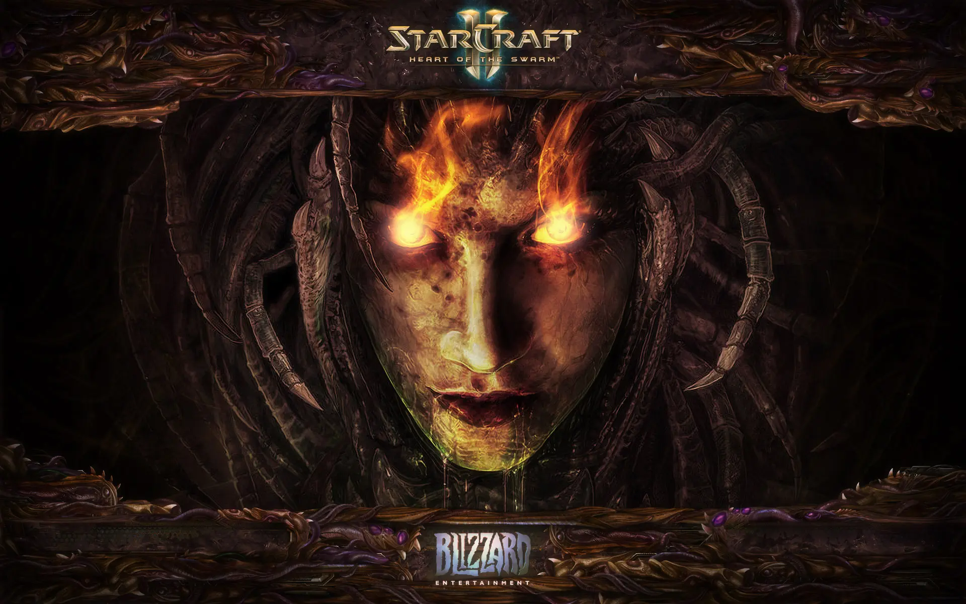 Game Starcraft 2 Heart of the Swarm wallpaper 1 | Background Image