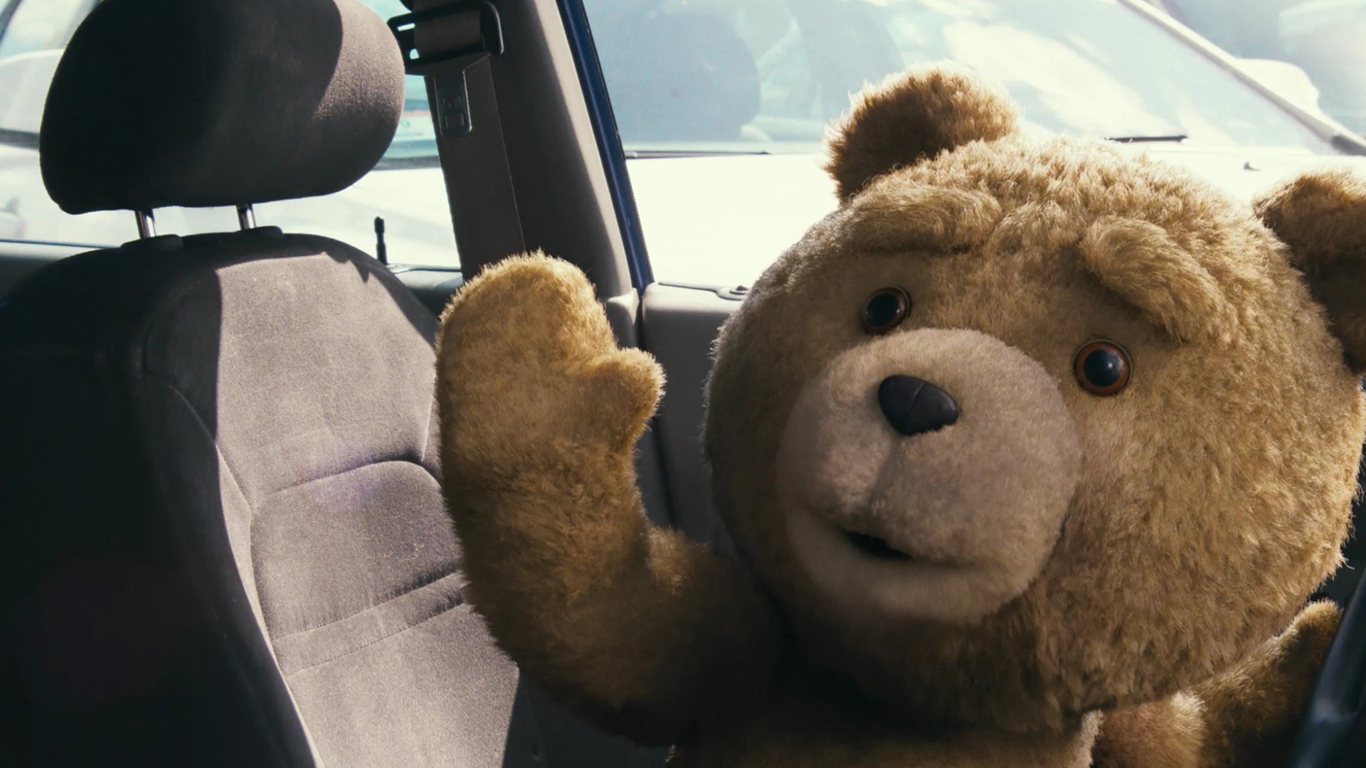 Ted wallpaper 5