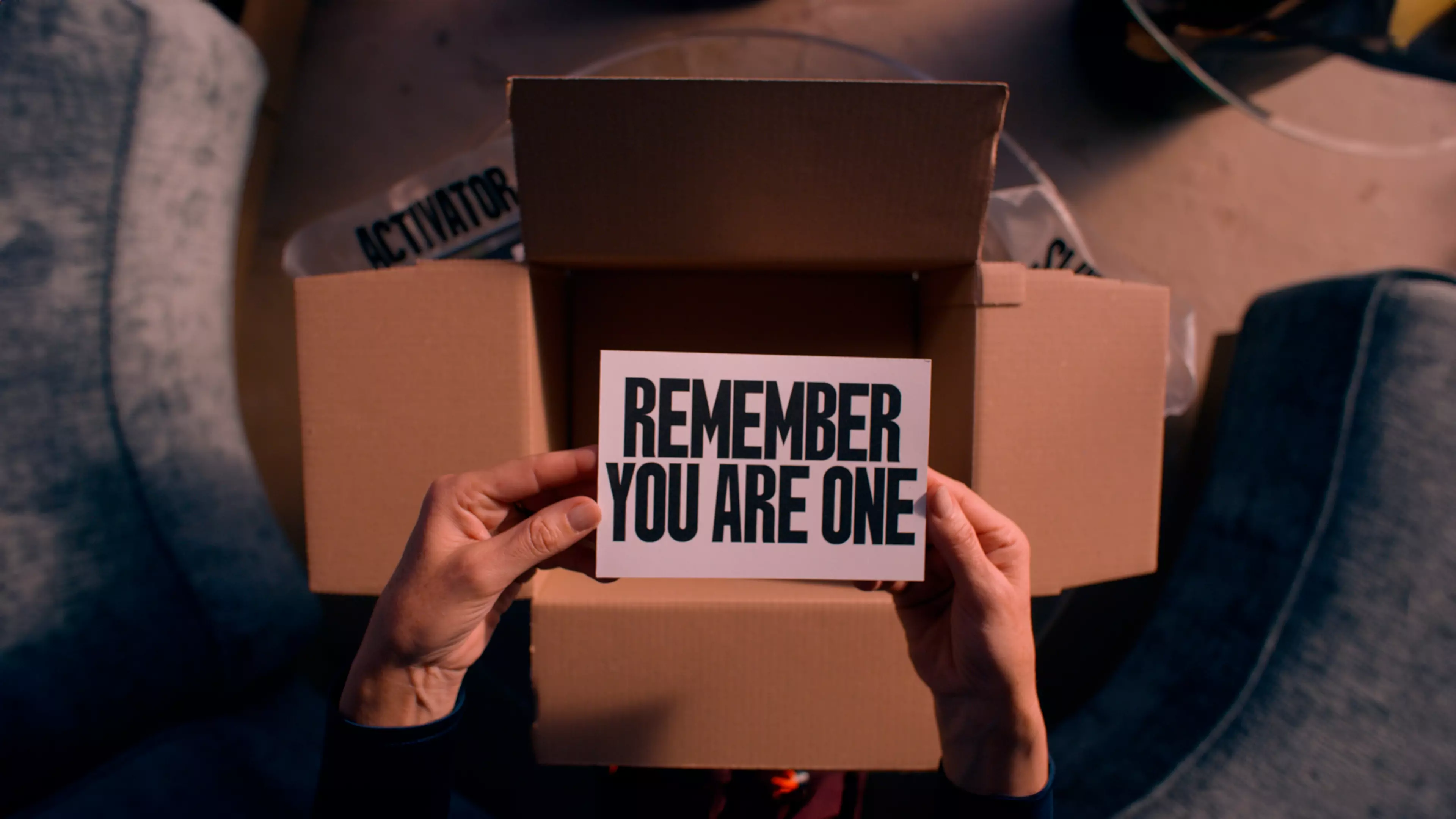 Movie The Substance wallpaper 6 | Background Image