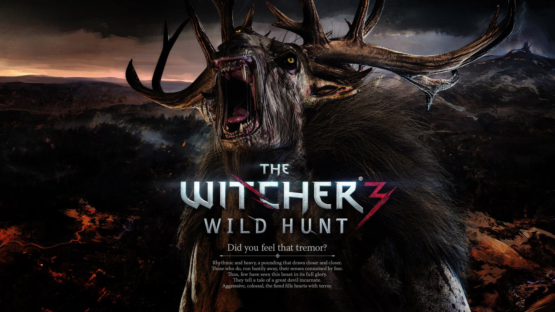 The Witcher 3 wallpaper 16