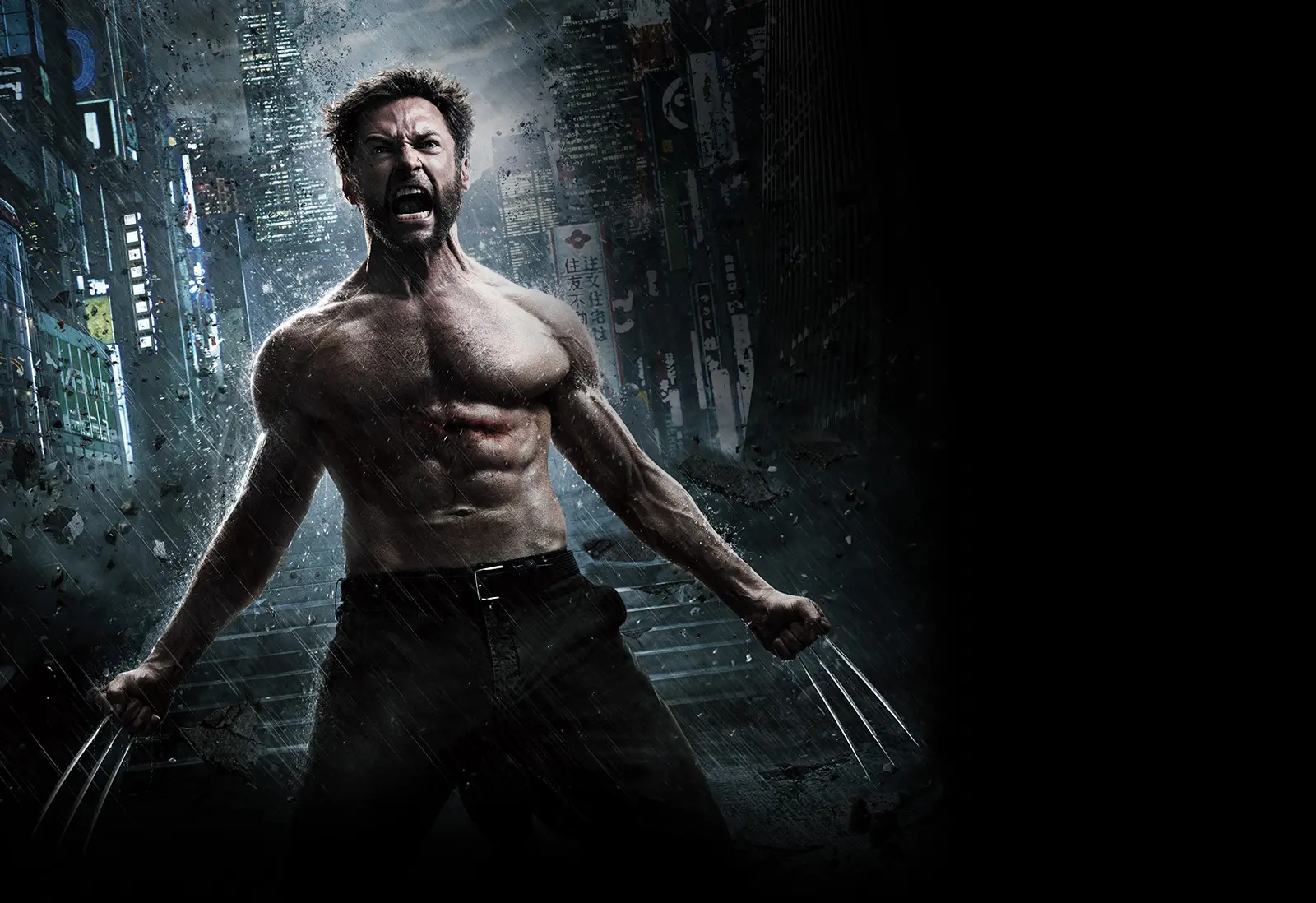 Movie The Wolverine wallpaper 1 | Background Image