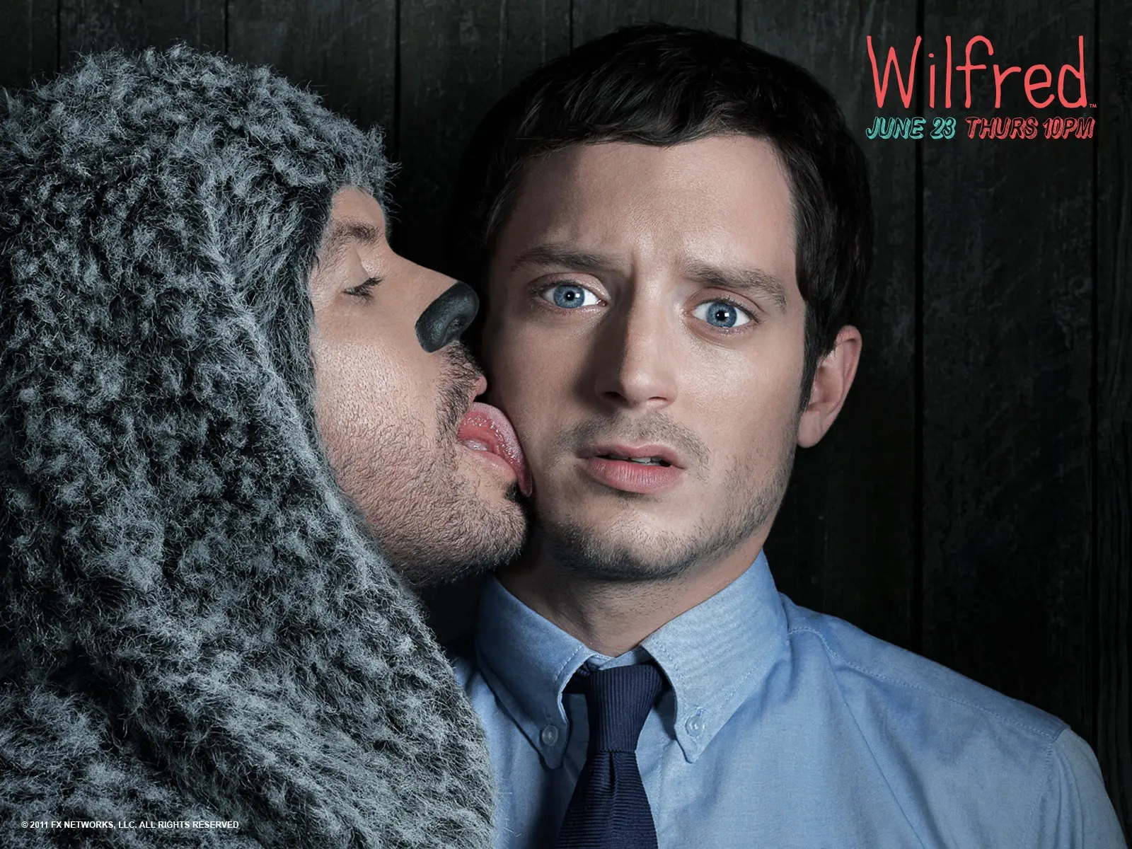 TV Show Wilfred wallpaper 4 | Background Image
